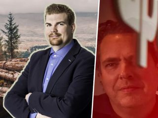 Skogen – det gröna guldet?